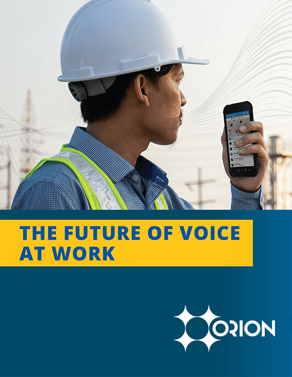 The Future of Voice at Work
